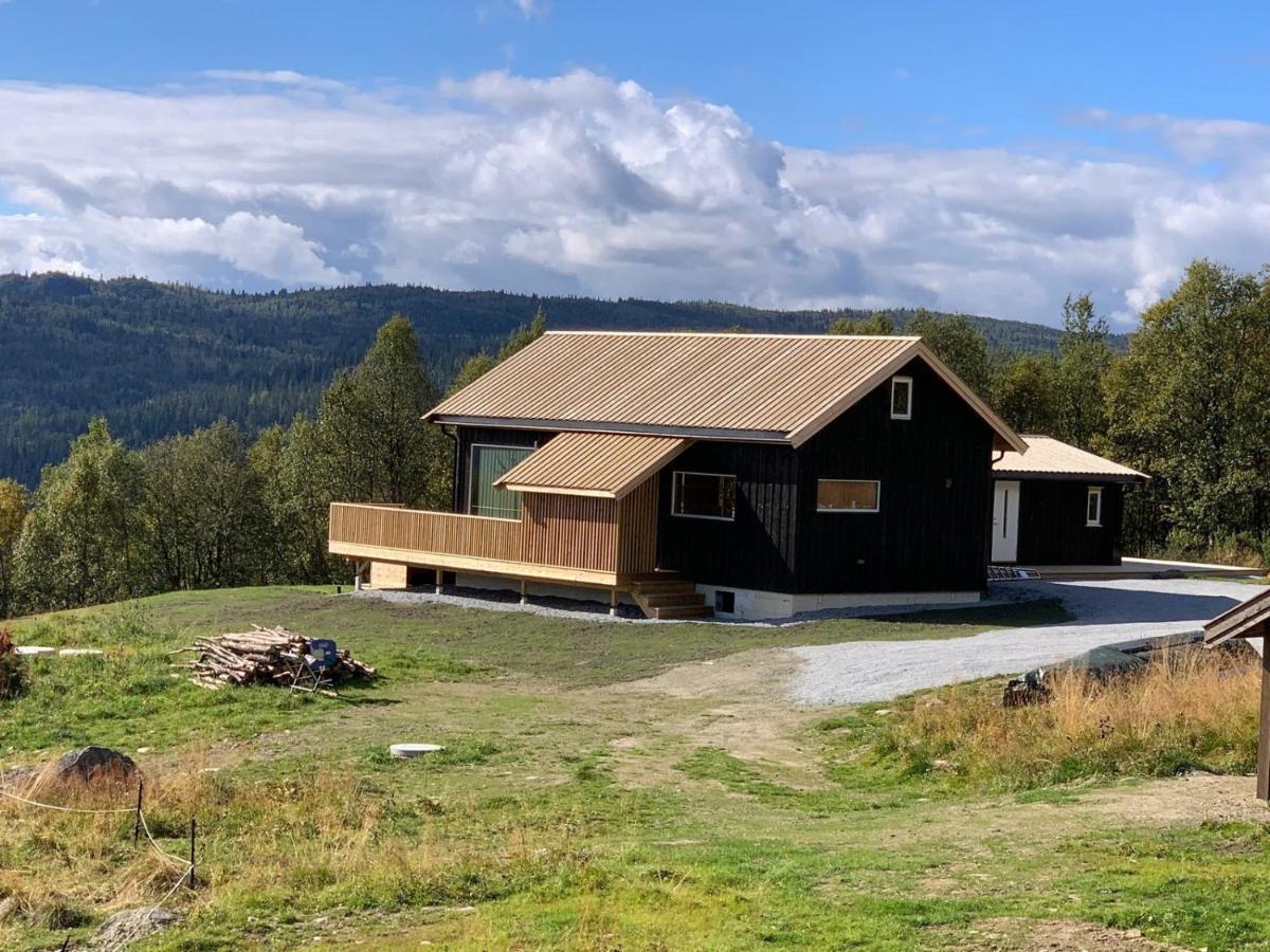 Na Er Vinteren Kommet Til Hallingdal Al Zewnętrze zdjęcie