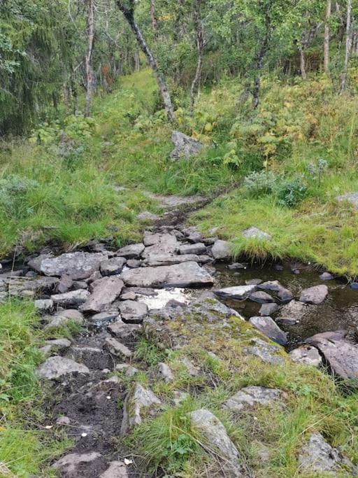 Na Er Vinteren Kommet Til Hallingdal Al Zewnętrze zdjęcie