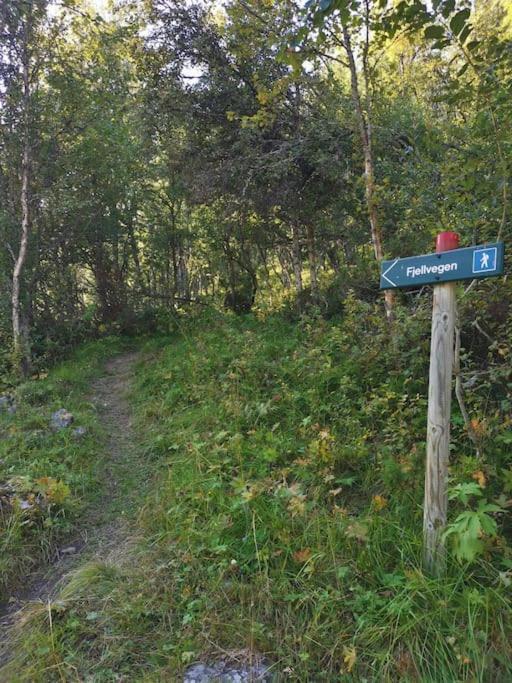 Na Er Vinteren Kommet Til Hallingdal Al Zewnętrze zdjęcie
