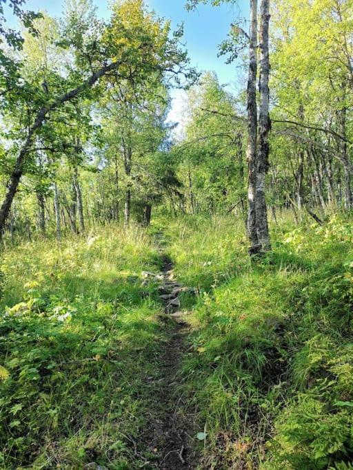 Na Er Vinteren Kommet Til Hallingdal Al Zewnętrze zdjęcie