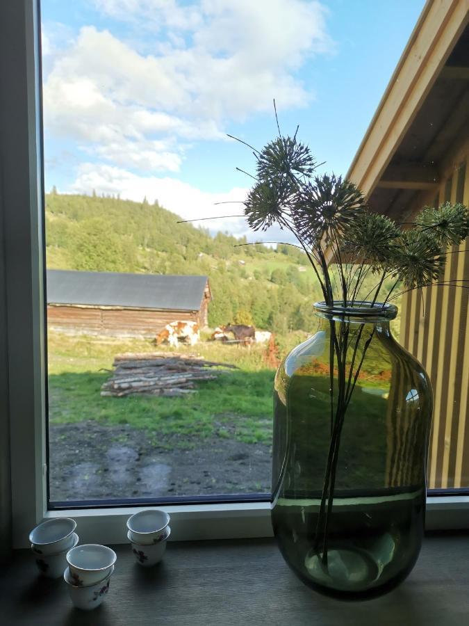 Na Er Vinteren Kommet Til Hallingdal Al Zewnętrze zdjęcie
