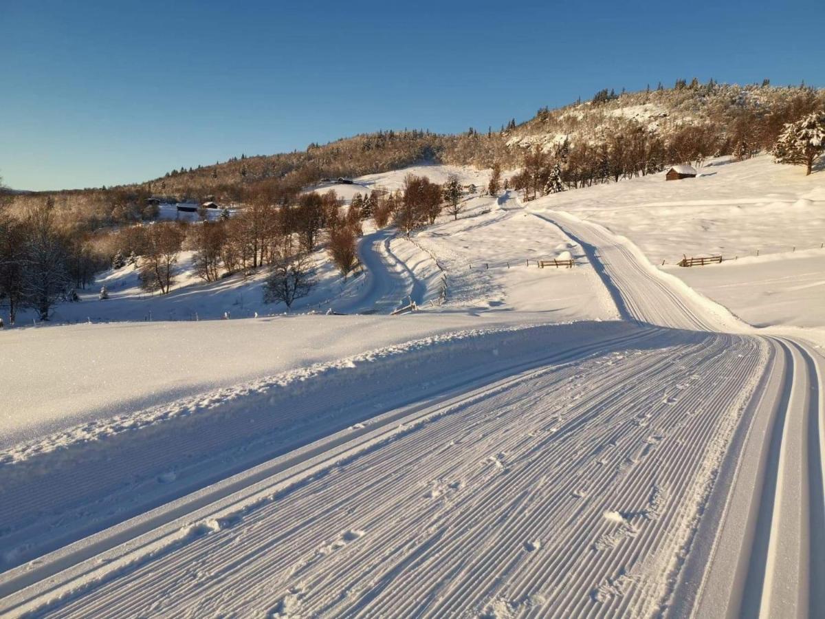 Na Er Vinteren Kommet Til Hallingdal Al Zewnętrze zdjęcie