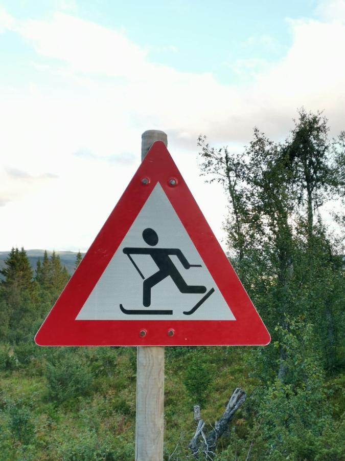 Na Er Vinteren Kommet Til Hallingdal Al Zewnętrze zdjęcie