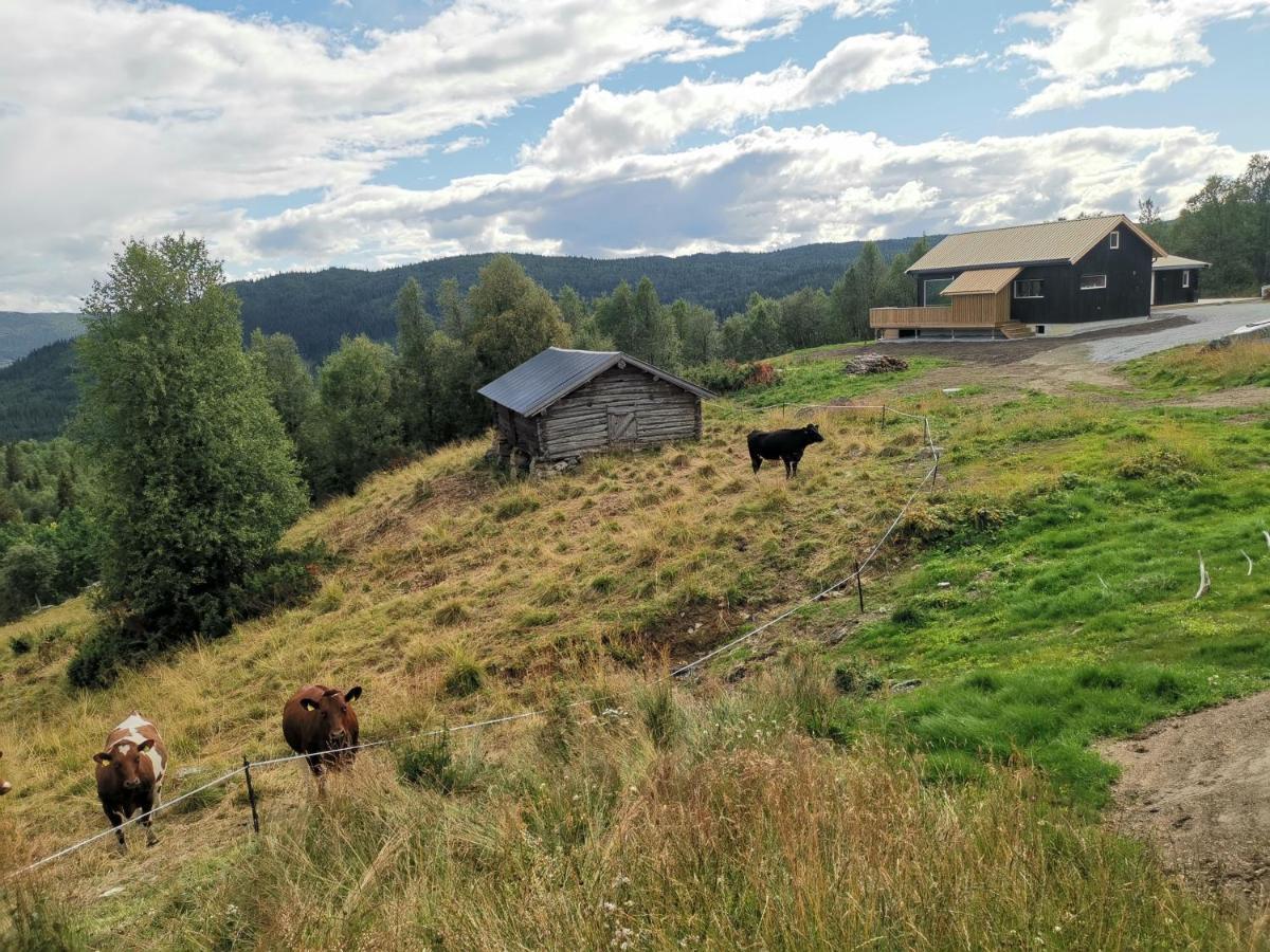 Na Er Vinteren Kommet Til Hallingdal Al Zewnętrze zdjęcie