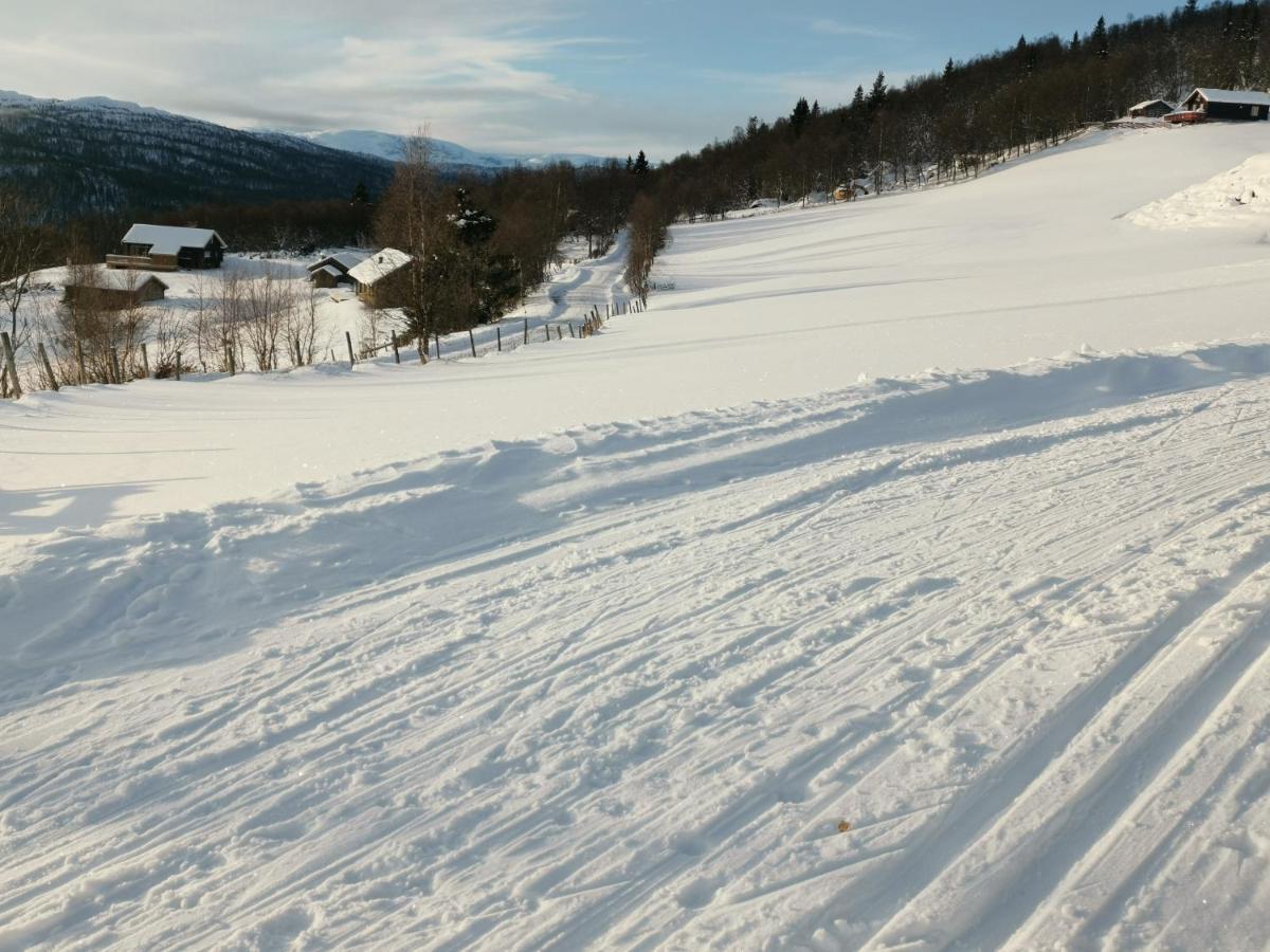 Na Er Vinteren Kommet Til Hallingdal Al Zewnętrze zdjęcie