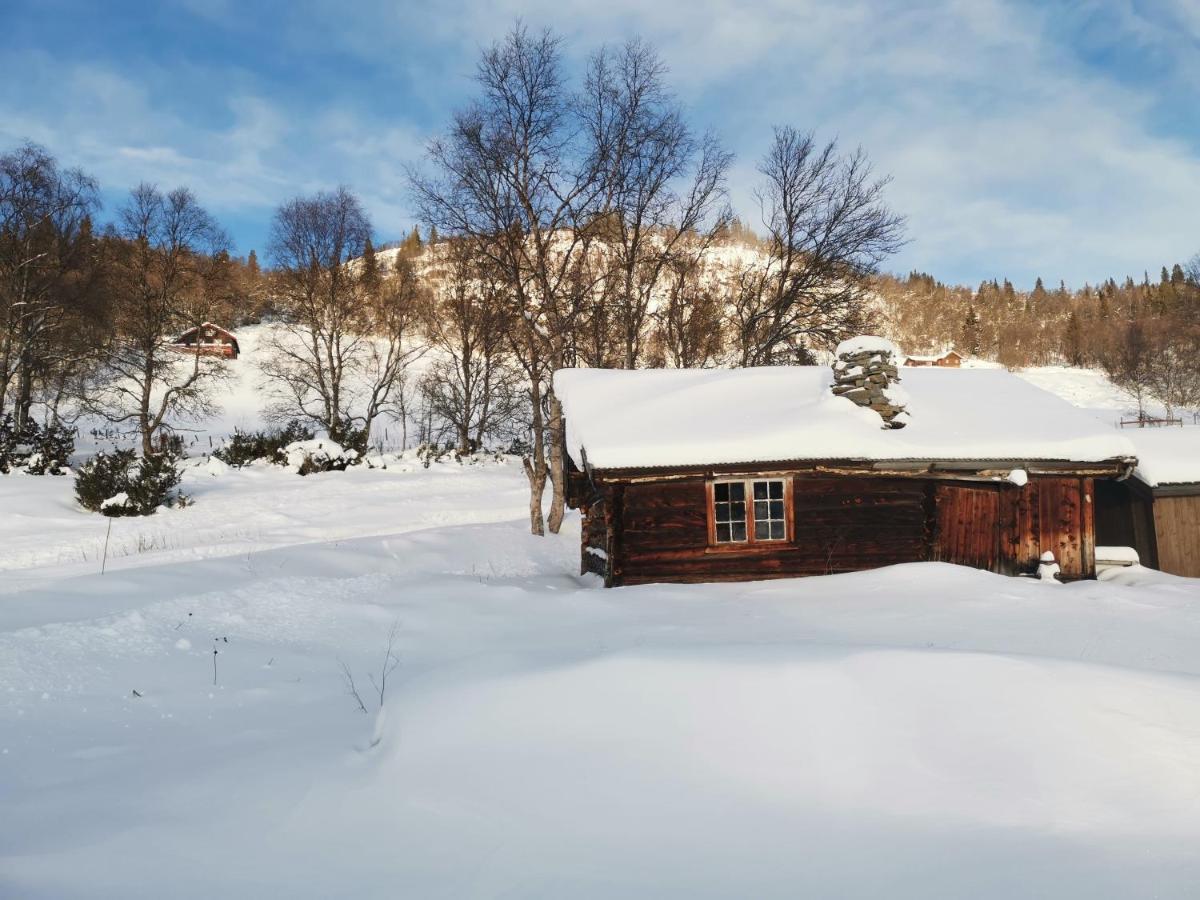 Na Er Vinteren Kommet Til Hallingdal Al Zewnętrze zdjęcie