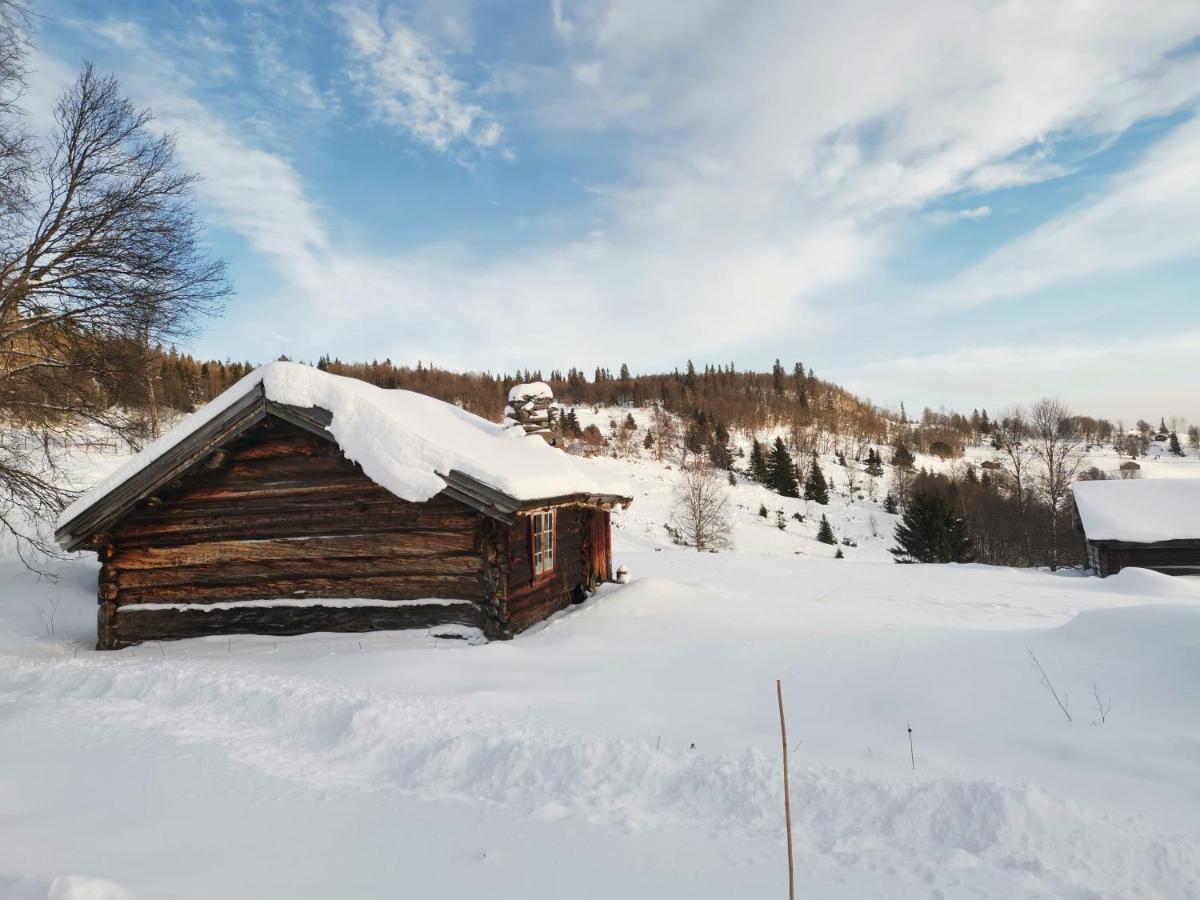 Na Er Vinteren Kommet Til Hallingdal Al Zewnętrze zdjęcie