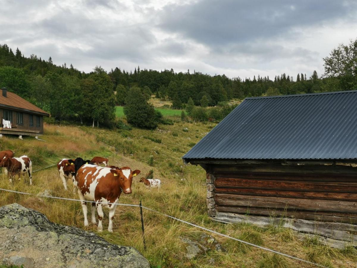 Na Er Vinteren Kommet Til Hallingdal Al Zewnętrze zdjęcie